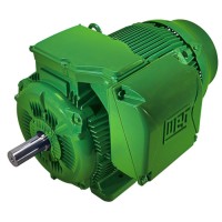 W22 Industrial Motor – 10 & 12 Poles